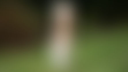 Muhteşem beyaz-sarı renkli güzel yetişkin kedi çimlerin üzerinde harika çok tüylü kuyruğunu dikleştirmiş kameraya doğru koşuyor.