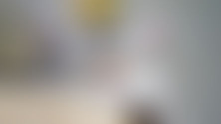 Şeker hastalığı 8diyabet) teşhisi konmuş güzel yetişkin gri kedi uyuyor.