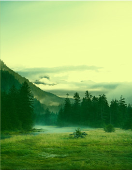 River Scene