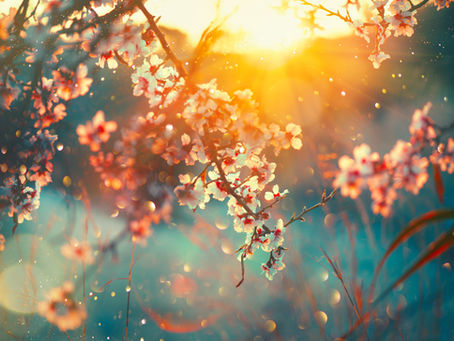 Oser se Dire ♥