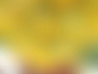 Limonade de Fleurs de Coucou