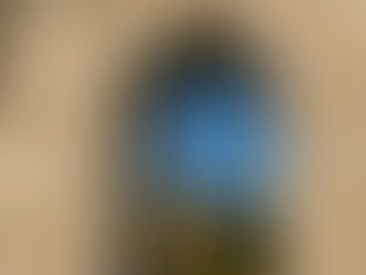 Ancona olnboginn í Marche