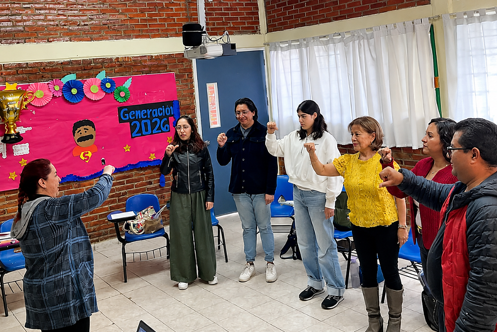 primaria_docentes.png