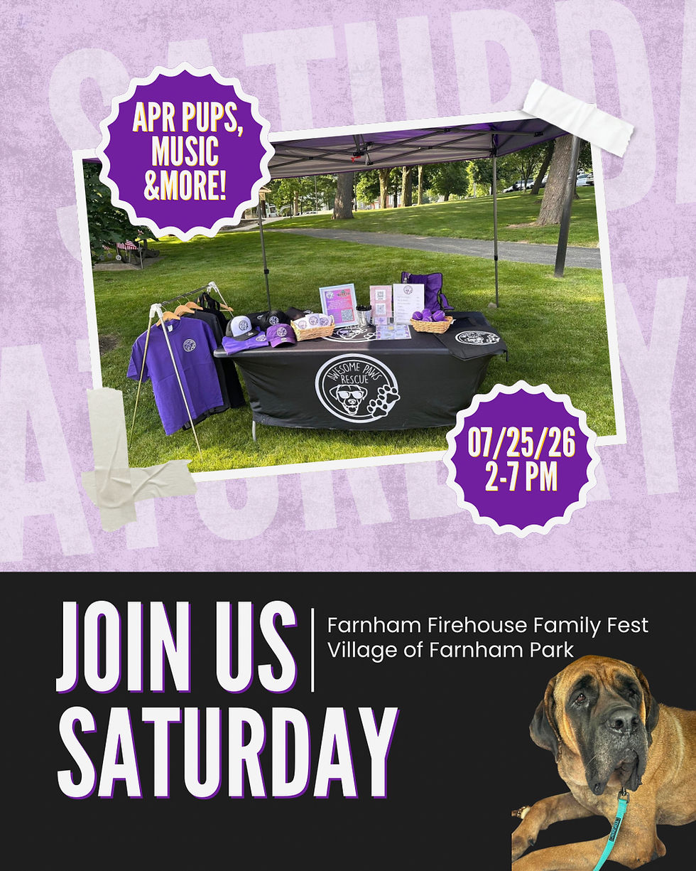 Join APR!