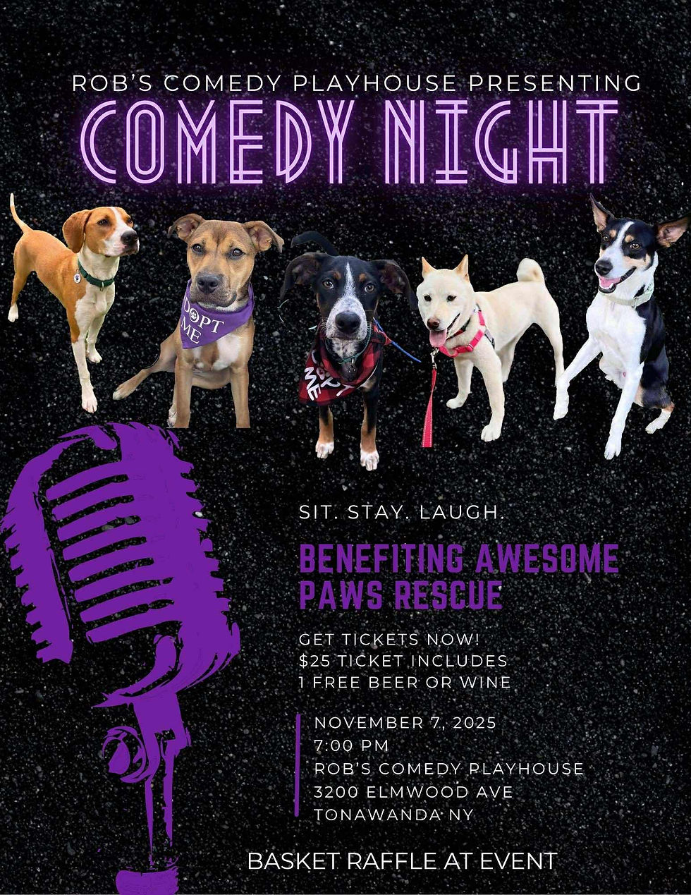 Comedy Show @ Rob's Comedy Playhouse!