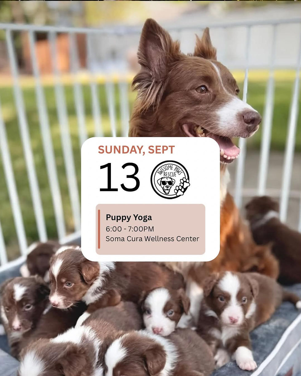 Puppy Yoga!