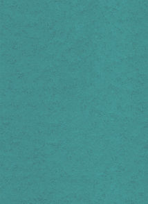 p0446_m.jpg