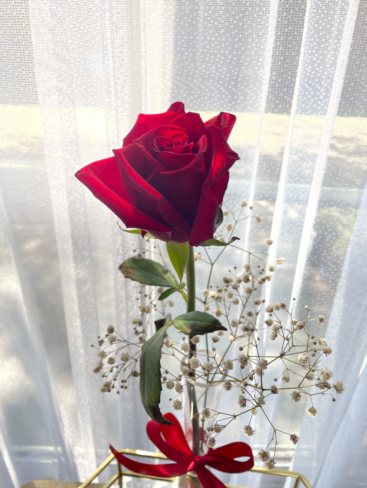 Sweetheart Rose and Vase