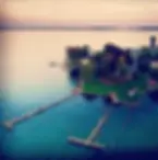 Chesapeake Bay wedding venue, waterfront venue Maryland