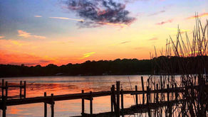 How to Write an Obituary (and Plan a Celebration of Life in Maryland)