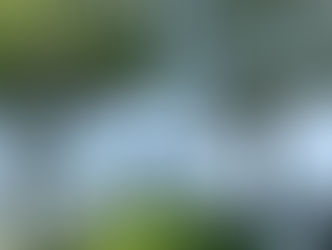 Outdoor, wedding, venue, Baltimore, waterfront, scenic, backyard, social