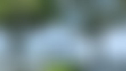 Outdoor, wedding, venue, Baltimore, waterfront, scenic, backyard, social