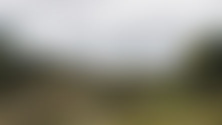 버지니아 북부 송전선 지중화 논란… '주민 반발 속 규제당국 결정 임박'