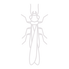 Termite