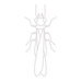 Termite