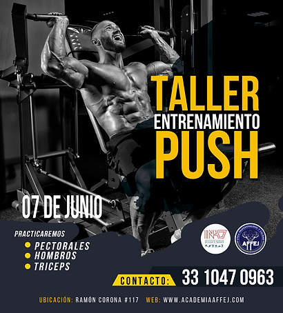 ENTRENAMIENTO PUSH.png
