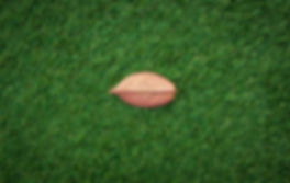 Artificial grass malaysia