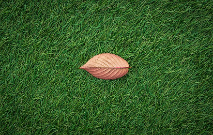 Artificial grass malaysia