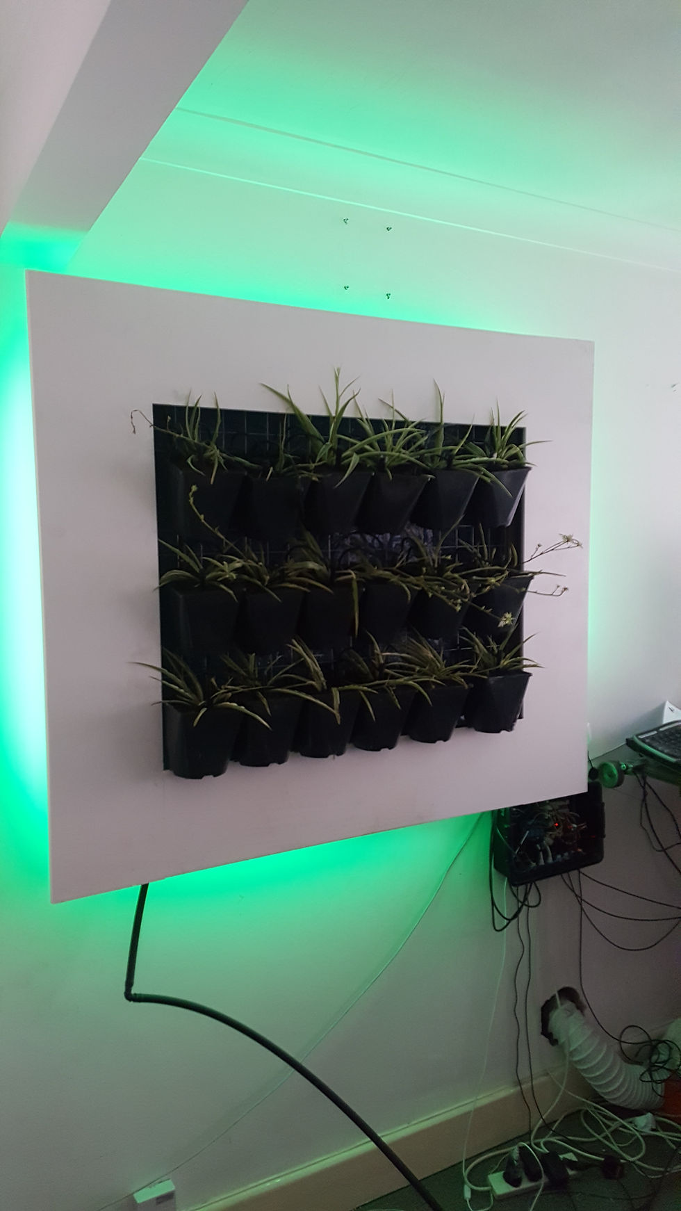 Thumbnail: Living Art (Air Purifiers)
