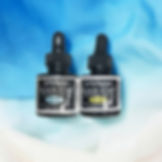Dr Ph Martins Black Star Waterproof India Ink