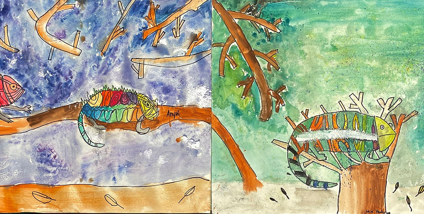 Image_20240208 1.jpg