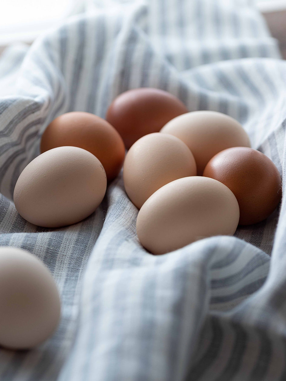 宮田敬太 日本フードフォトグラファー協会 フードフォトグラファー 料理カメラマン 料理撮影