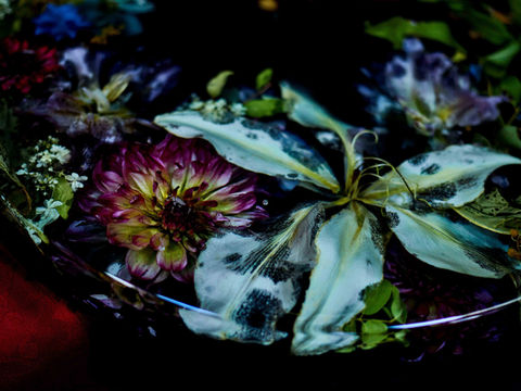 フラワーアートテーブル　NAOKOKANAMORI　金森直子　ダリア　ダリアの神様　鷲澤幸治　かなもりなおこ　naoko kanamori　Flower art table　koji Washizawa　フラワーテーブル　Flower Table　