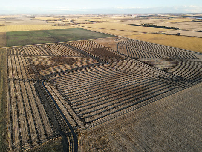 field2.jpg