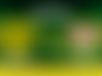 Borussia Dortmund x Bayer Leverkusen: palpites, estatísticas e onde assistir ao vivo - 10/01/2025