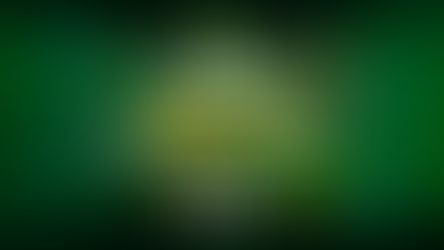 Palpites Bundesliga (Alemanha): 16ª rodada - 12/01/2025