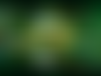 Palpites Championship (Inglaterra): 27ª rodada - 18/01/2025