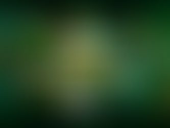 Palpites Ligue 1 (França): 18ª rodada - 18/01/2025