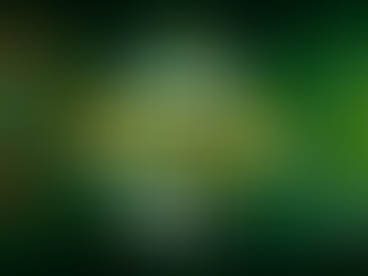 Palpites Premier League (Inglaterra): 22ª rodada - 18/01/2025