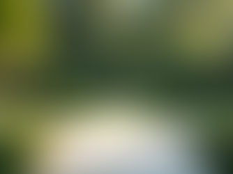 Explore Our Recent Landscaping and Tiling Projects