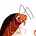 01_profilev2.png