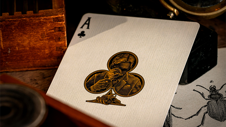 Thumbnail: playing cards
