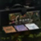 playing cards
