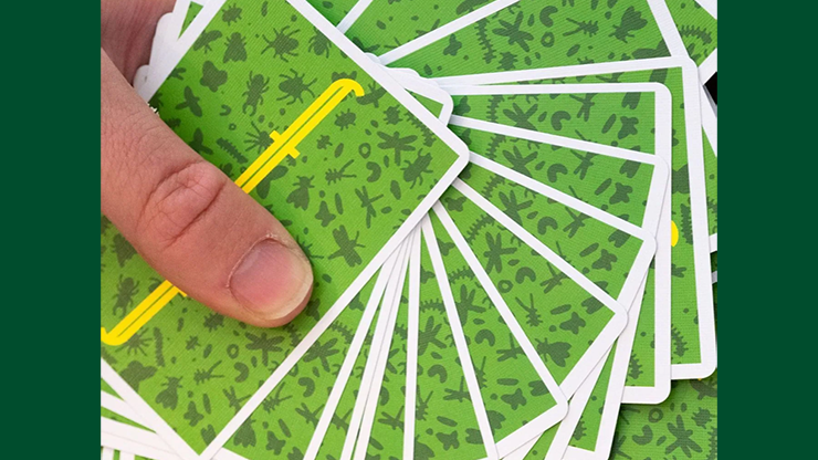 playing cards