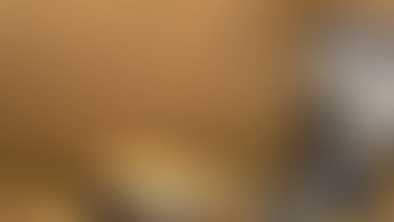 IPPJ : le MR demande d'auditionner le Procureur du Roi