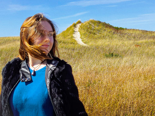 There Are No Vineyards on Martha's Vineyard