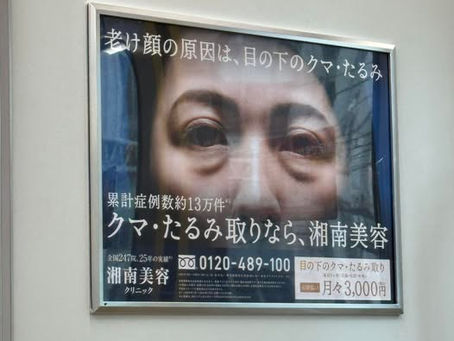 クマって、ケンゴの作品のこと?