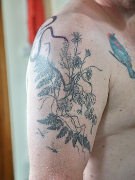 Healed flineline plants tattoo on the shoulder by Baan Khagee Tattoo Chiang Mai, Thailand