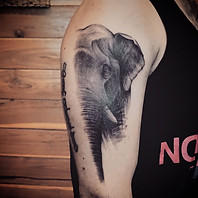 Best realistic elephant tattoo by Nate tattoo artist Chiang Mai