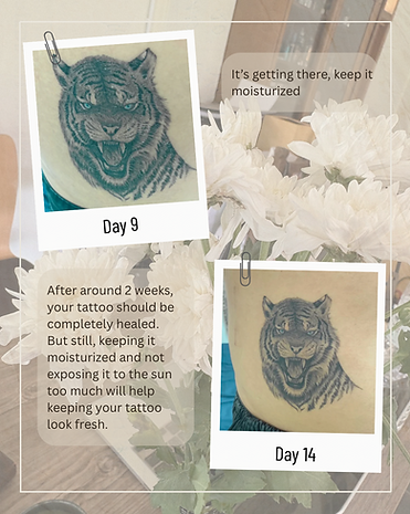 Healing tattoo and tattoo aftercare guidelines by Baan Khagee Tattoo Chiang Mai, Thailand