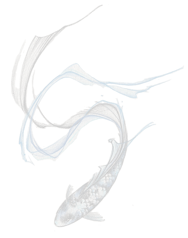 Best Oriental Koi fish tattoo with abstract flowing tail by Baan Khagee Tattoo Chiang Mai, Thailand