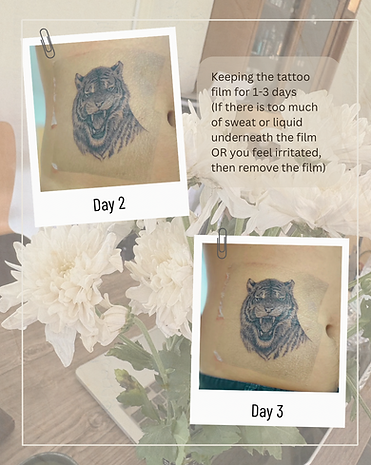 Healing tattoo and tattoo aftercare guidelines by Baan Khagee Tattoo Chiang Mai, Thailand