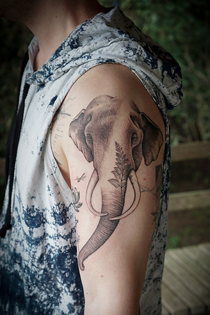 Best Blackwork Thai elephant tattoo with fern leaves by Baan Khagee Tattoo Chiang Mai, Thailand