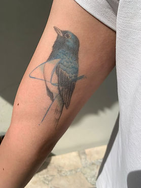 Healed Thai bird tattoo by Baan Khagee Tattoo Chiang Mai, Thailand