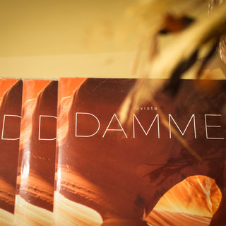 DAMME | Revestir 2024