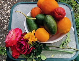 Avocados oranges roses_edited.jpg